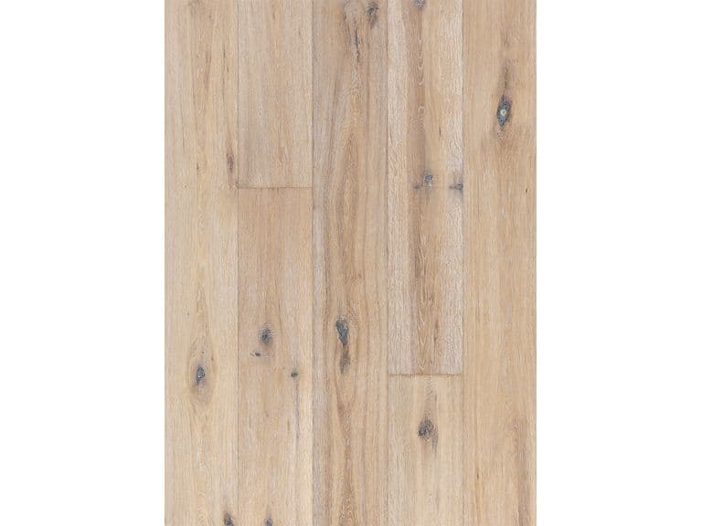 Oak Oyster