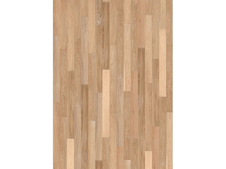 Sand Oak