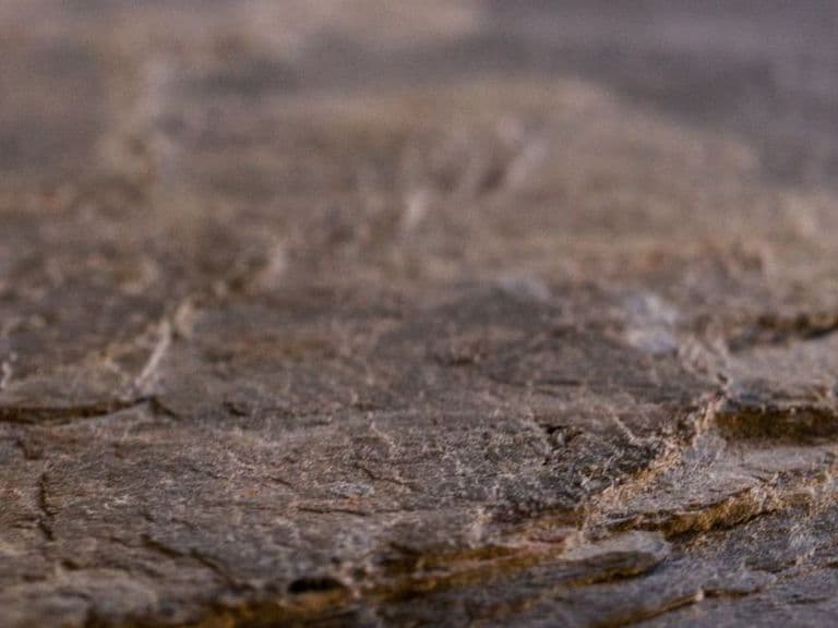 AUTUMN RUSTIC 4