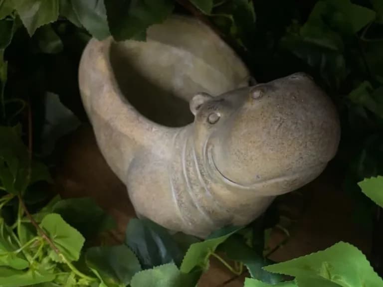 Ghiveci decorativ HIPPO 22CM 6