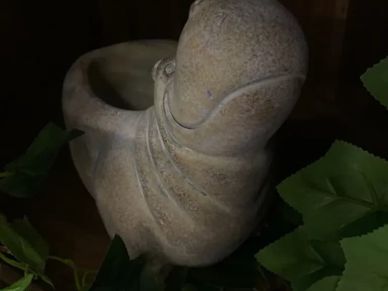 Ghiveci decorativ HIPPO 22CM 5