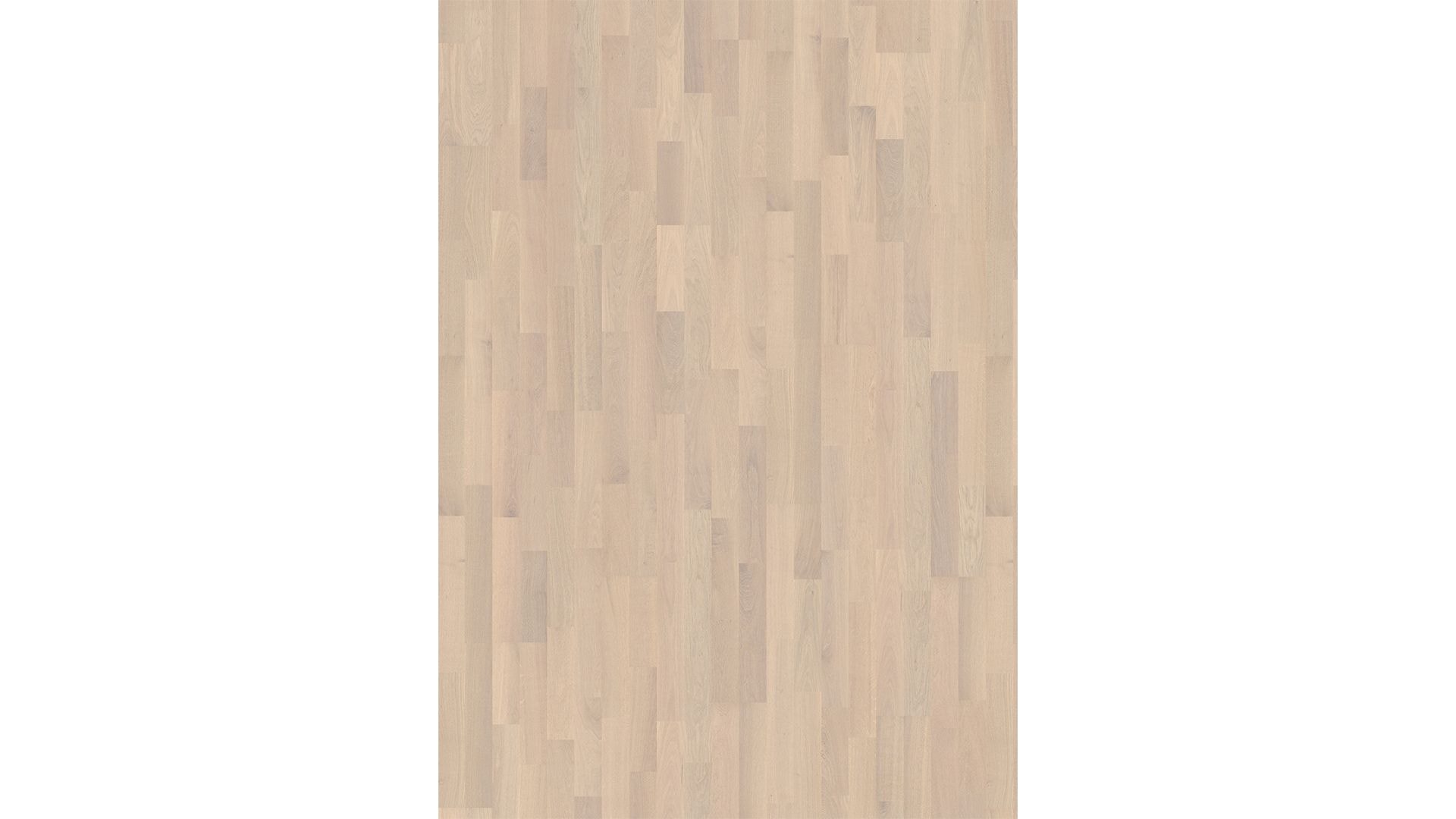 Oak Menton