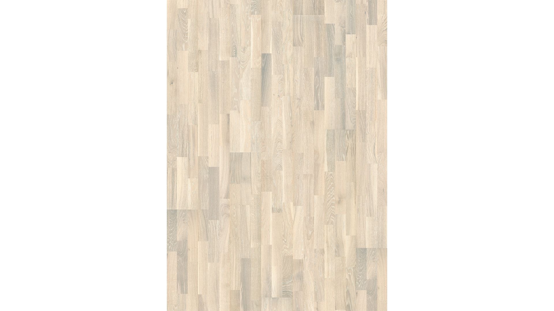 Oak Pale