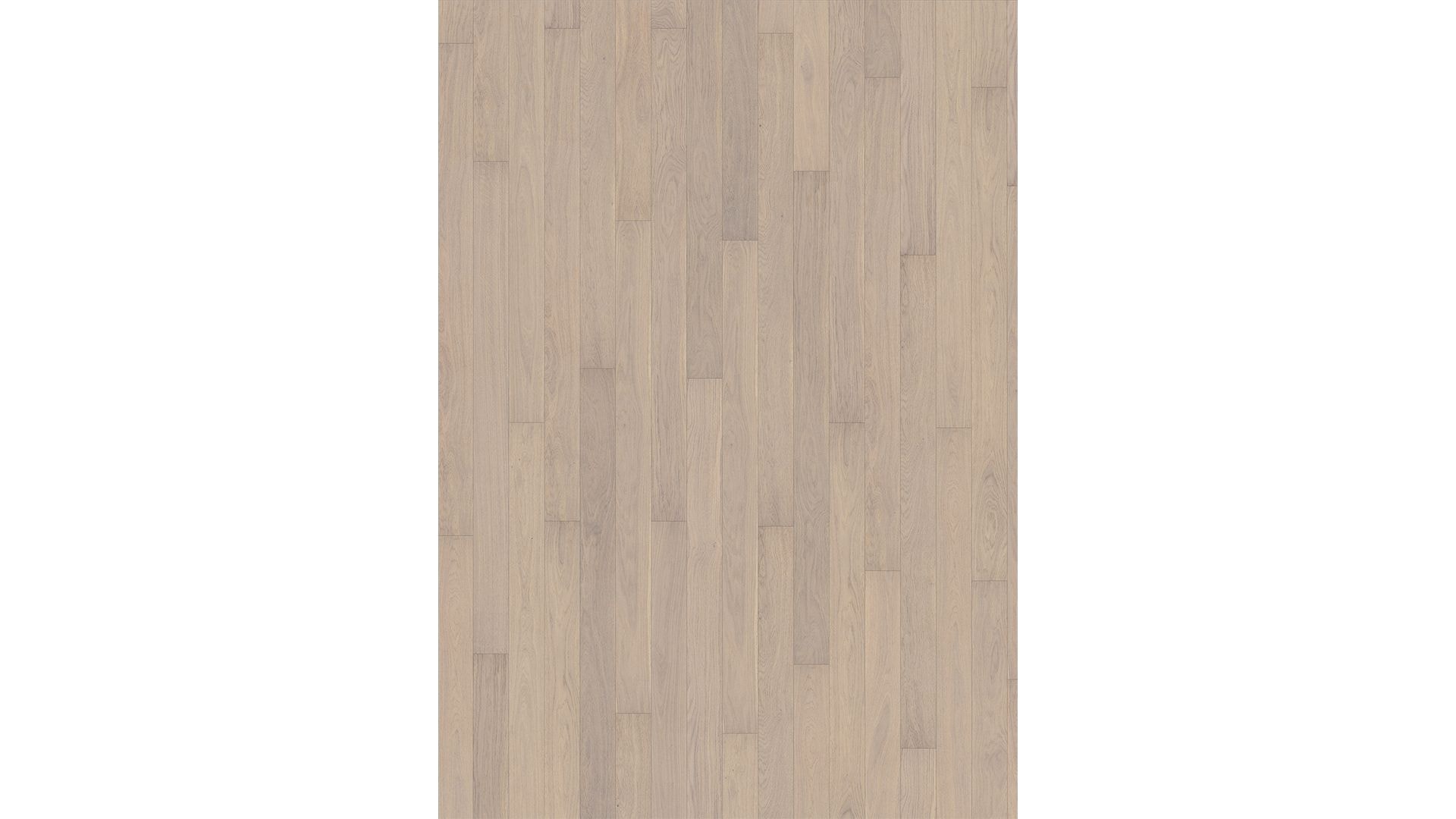 Oak Pearl