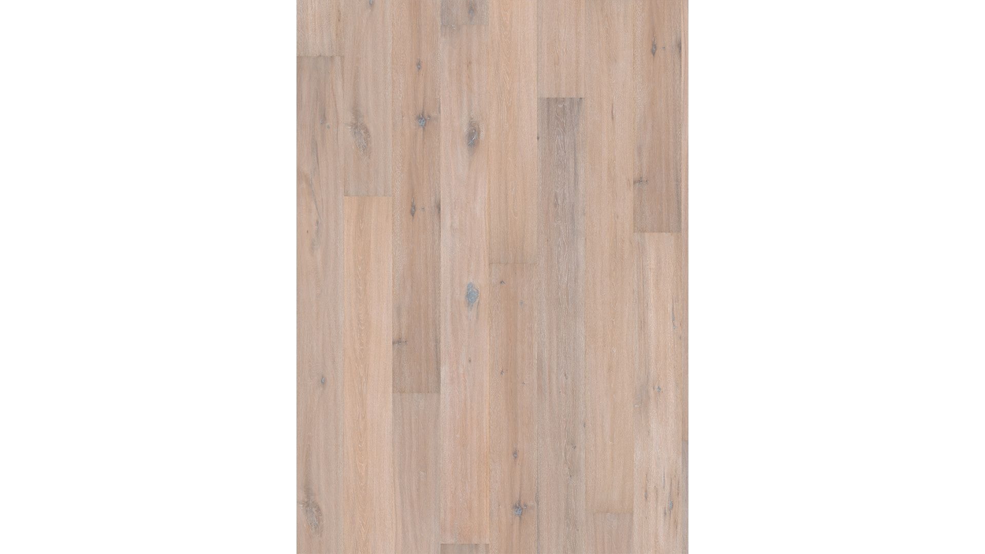 Manor Oak