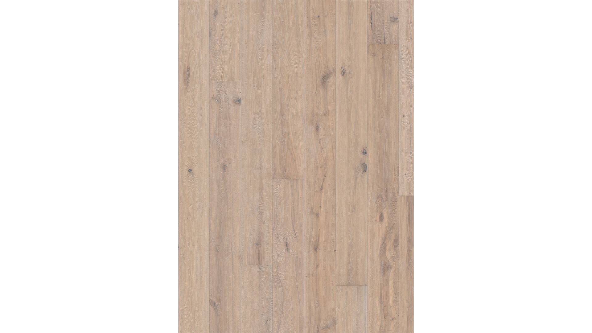 Oak Vista