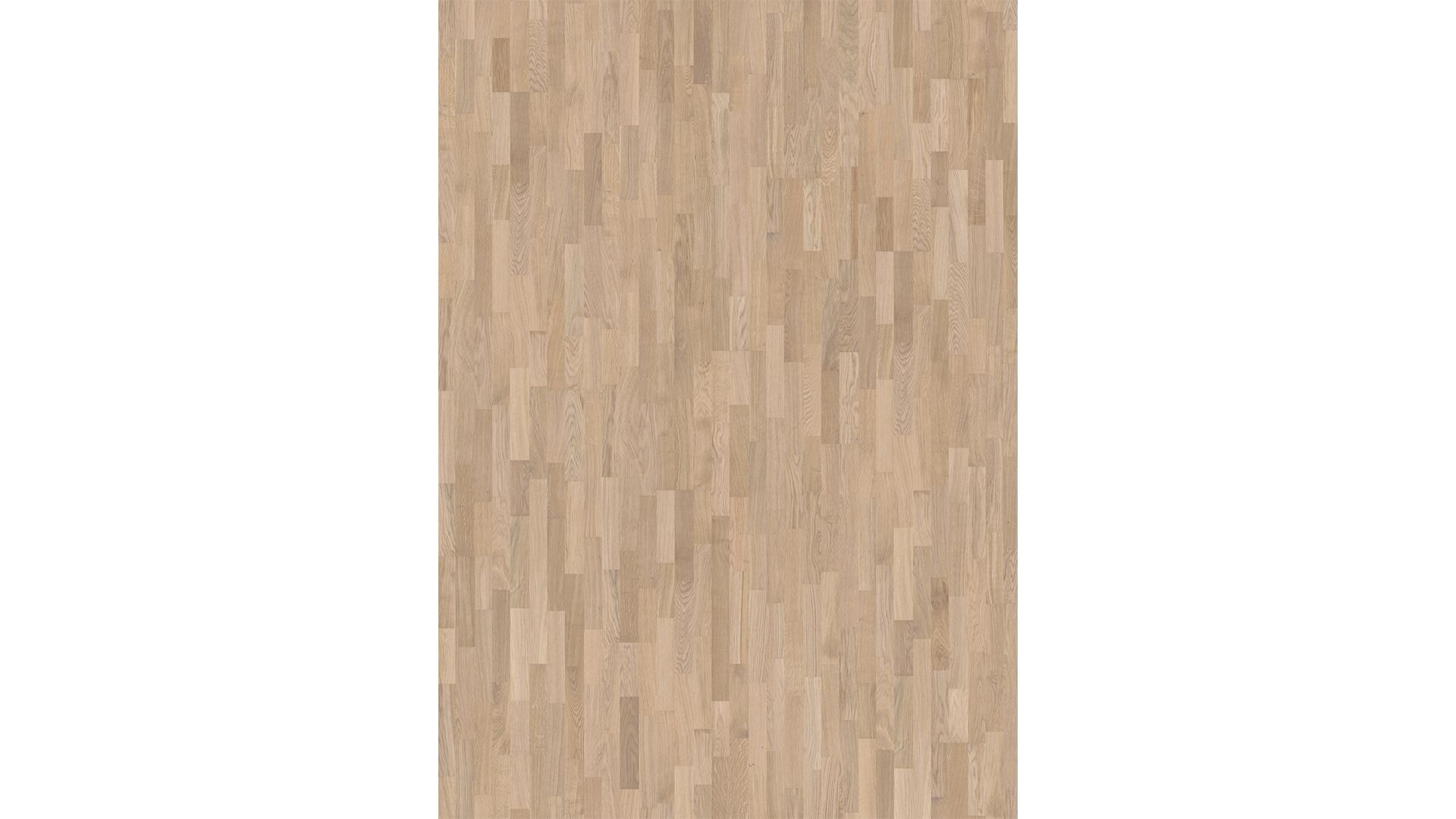 Oak Mist