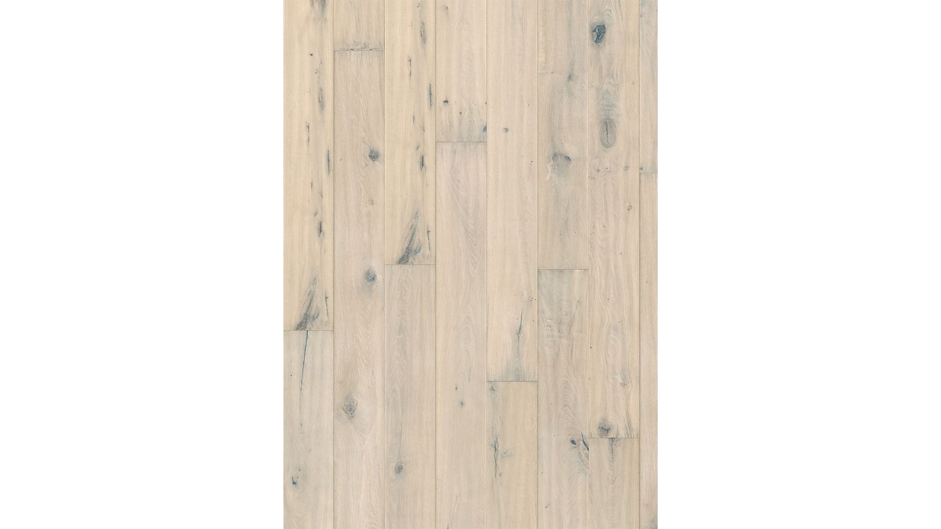 Oak Chiaro