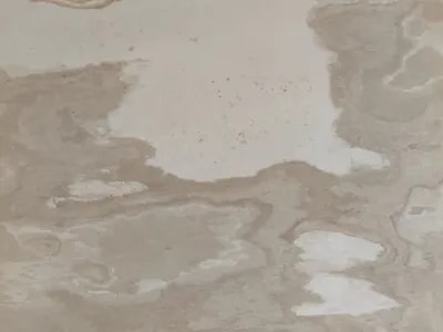 AUTUMN CREAM